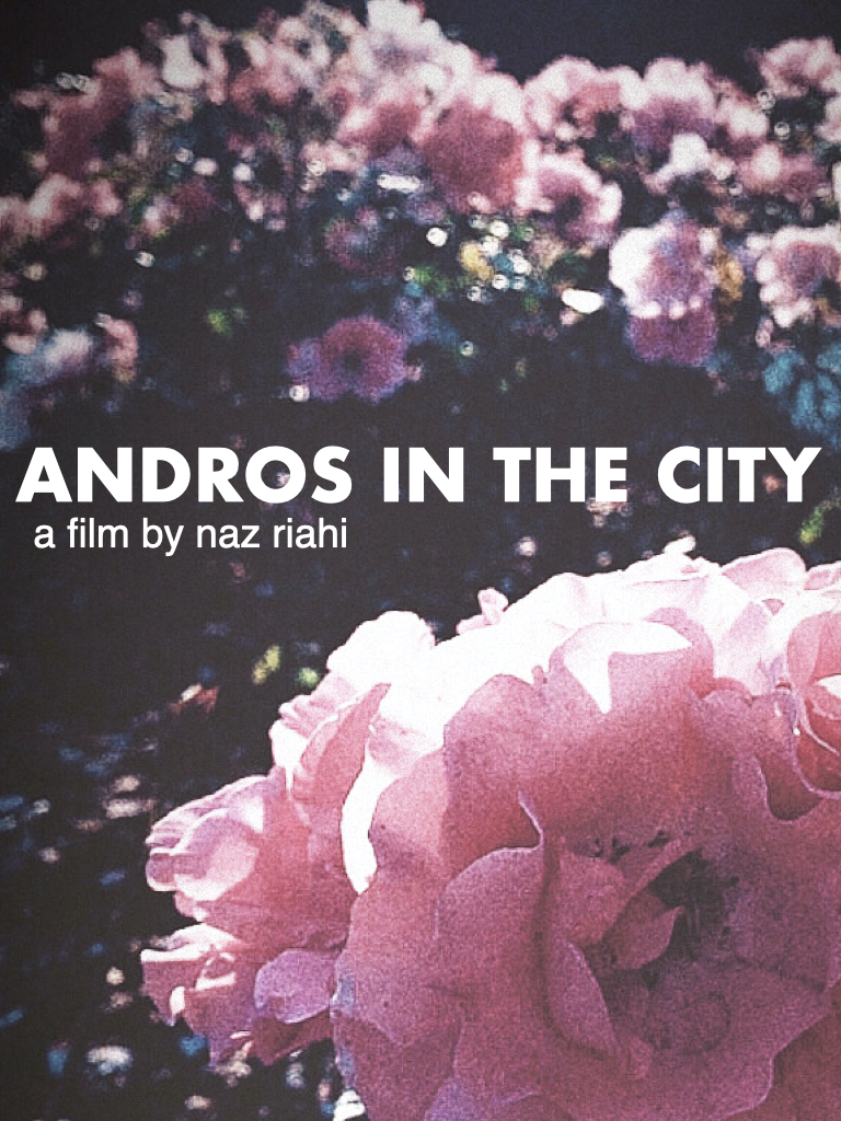 Andros in the City